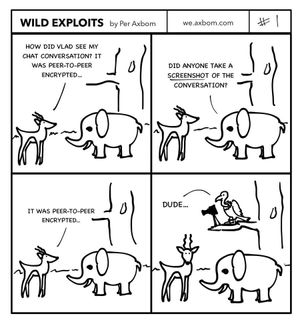 Wild Exploits #1