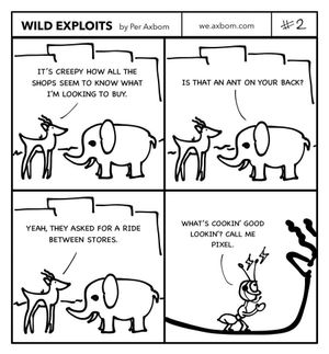 Wild Exploits #2